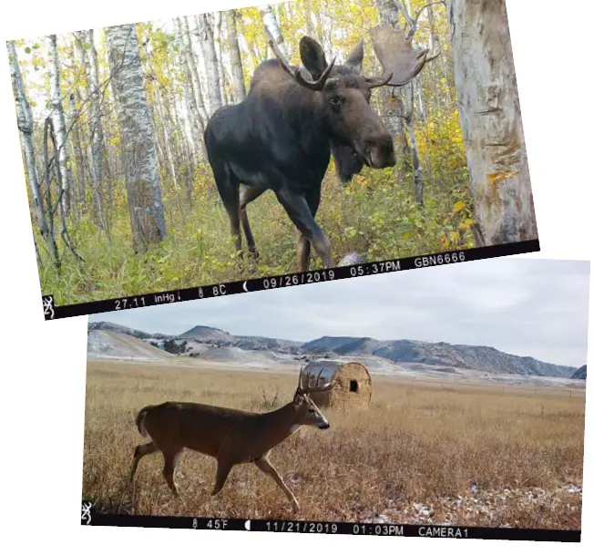 BROWNING BTC-4G-RLDCP Cell Camera 3