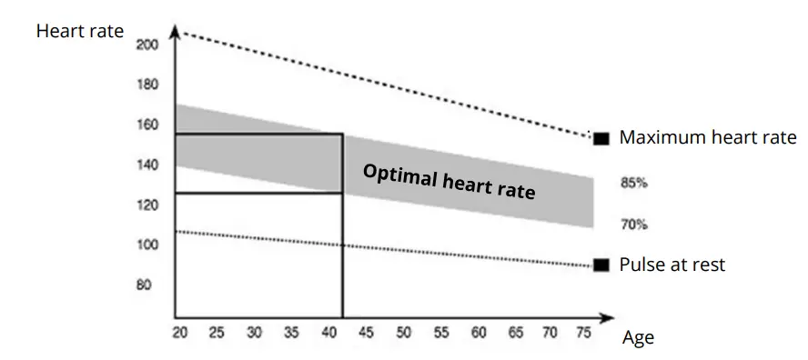 Check your heart rat