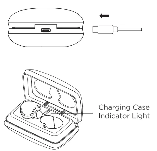 HIFIMAN TWS800 Twister 6 Earphone - charging