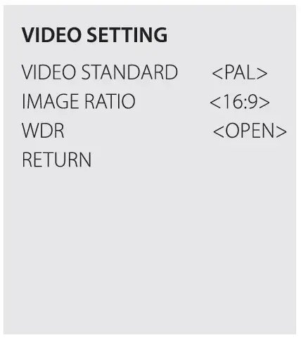 Video setting