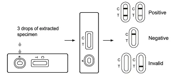 JusChek SARS CoV 2 Antigen Rapid Test - TESTING