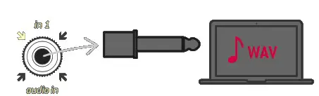 Endorphin ES 536289 Squawk Dirty To Me Eurorack Module - Cable