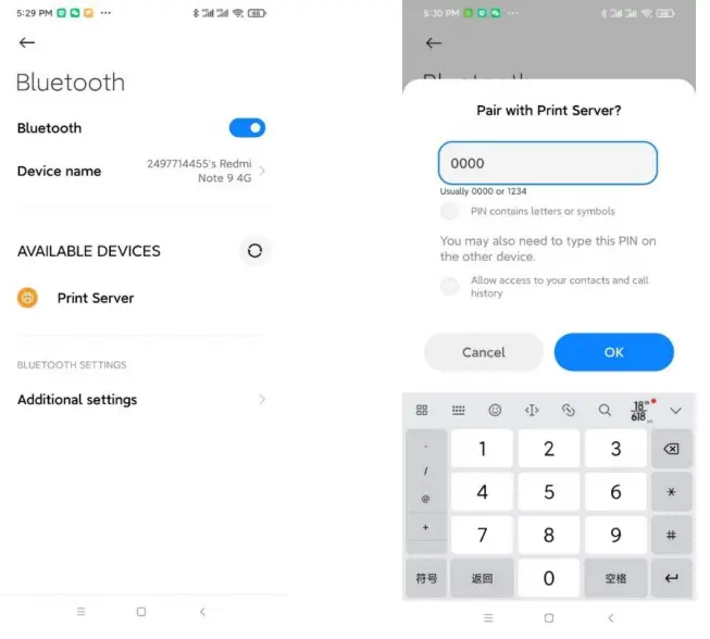 LOYALTY-SECU USB Print Server Bluetooth Pin Code