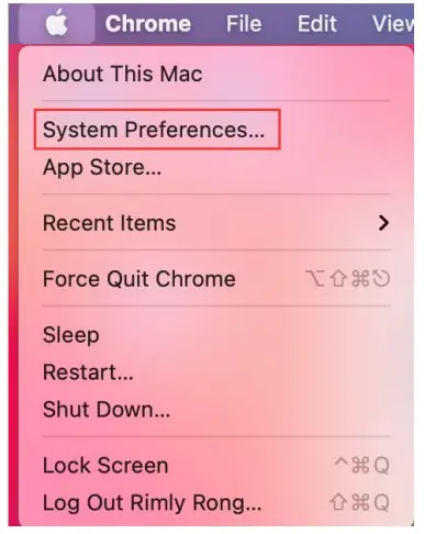 LOYALTY-SECU USB Print Server add the printe