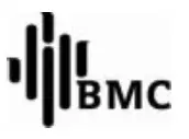 BMC logo