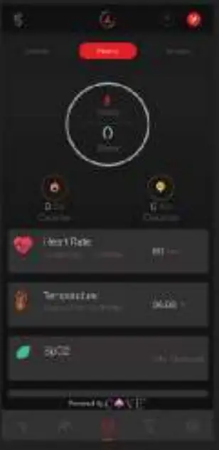 boAt Wave Prime 47 Smart Watch with 1 69 HD Display - App