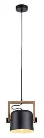 Paul-Neuhaus-15661-Pendant-Light-PRODUCT