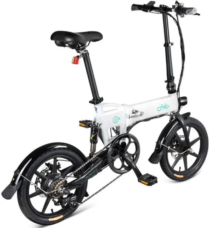 Fiido D2S Electric Bike