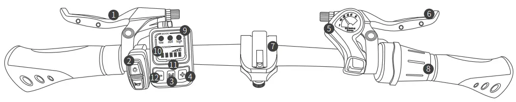 Structure illustration