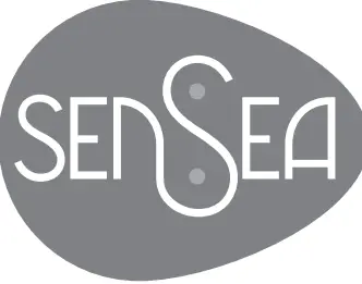 11505515 Neo Wall Hung WC Sensea - Icon