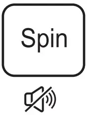 Spin