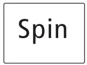 Spin