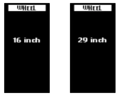CYCMOTOR SW102 Topology Mini Display - FIg3
