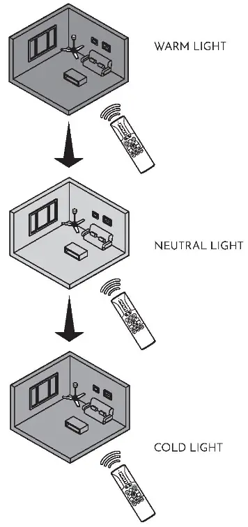 arte confort VIOLETA Cutting Edge Ceiling Fan - WARM LIGHT