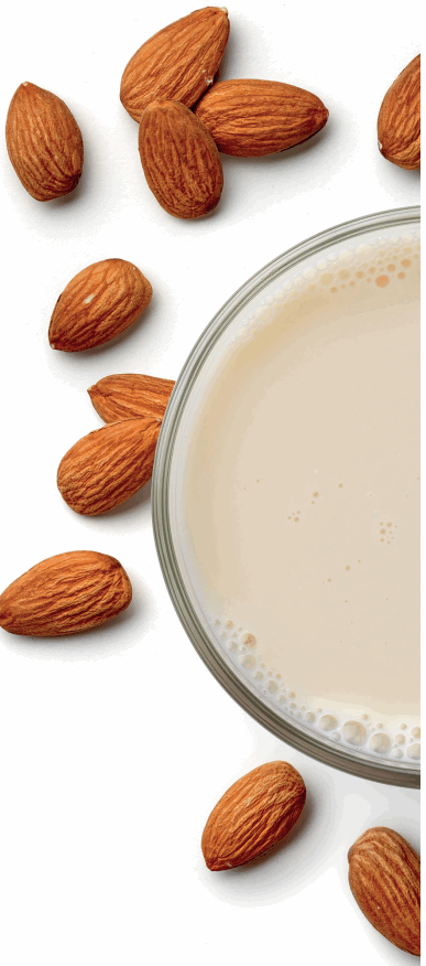 SALTER EK5258 Plant Milk Maker - plant milk 1