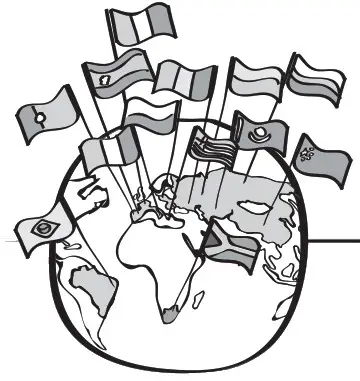 DEXTER DP5 330SHS3 5 Sheet Sander - DETAILED VIEW 14