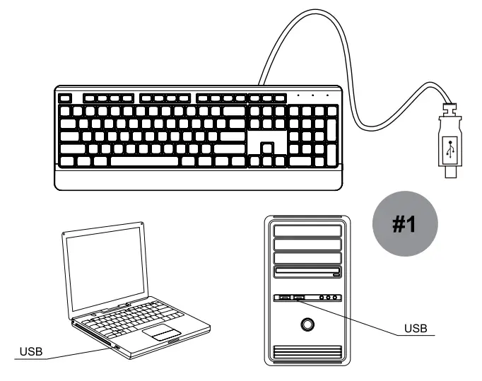 CANYON SET-14 Desktop Wired Combo - fig1