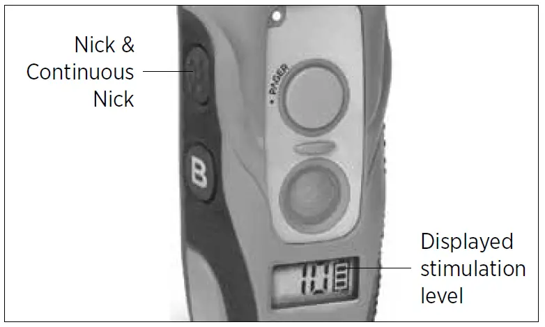 Nick & Continuous Nick-1