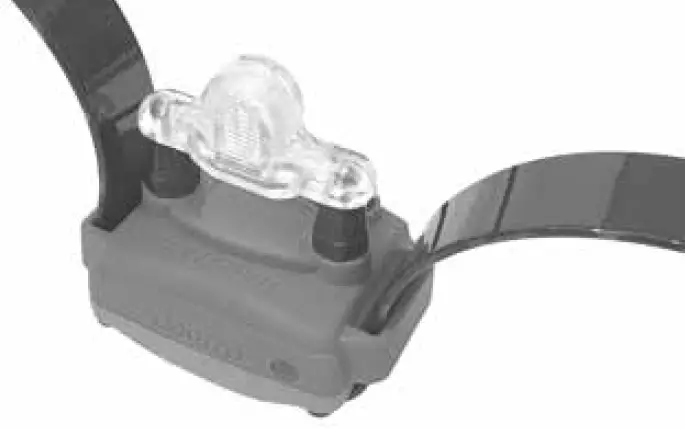 Using the Test Light