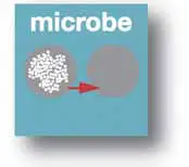 EHEIM 350 UV C Clarifier ReeflexUV - 4