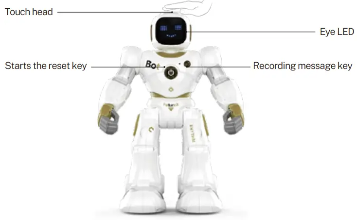 Ruko Carle 1088 Gold Large Smart Robot for Kids fig11