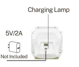Ruko Carle 1088 Gold Large Smart Robot for Kids fig8