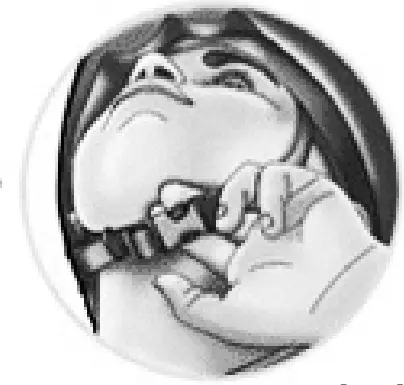 LIVALL C20 Smart Commuter Helmet - Leave