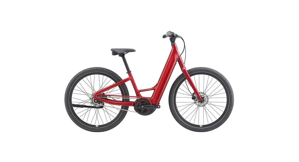 Momentum Vida E+ Dual Mounting Kit User Manual
