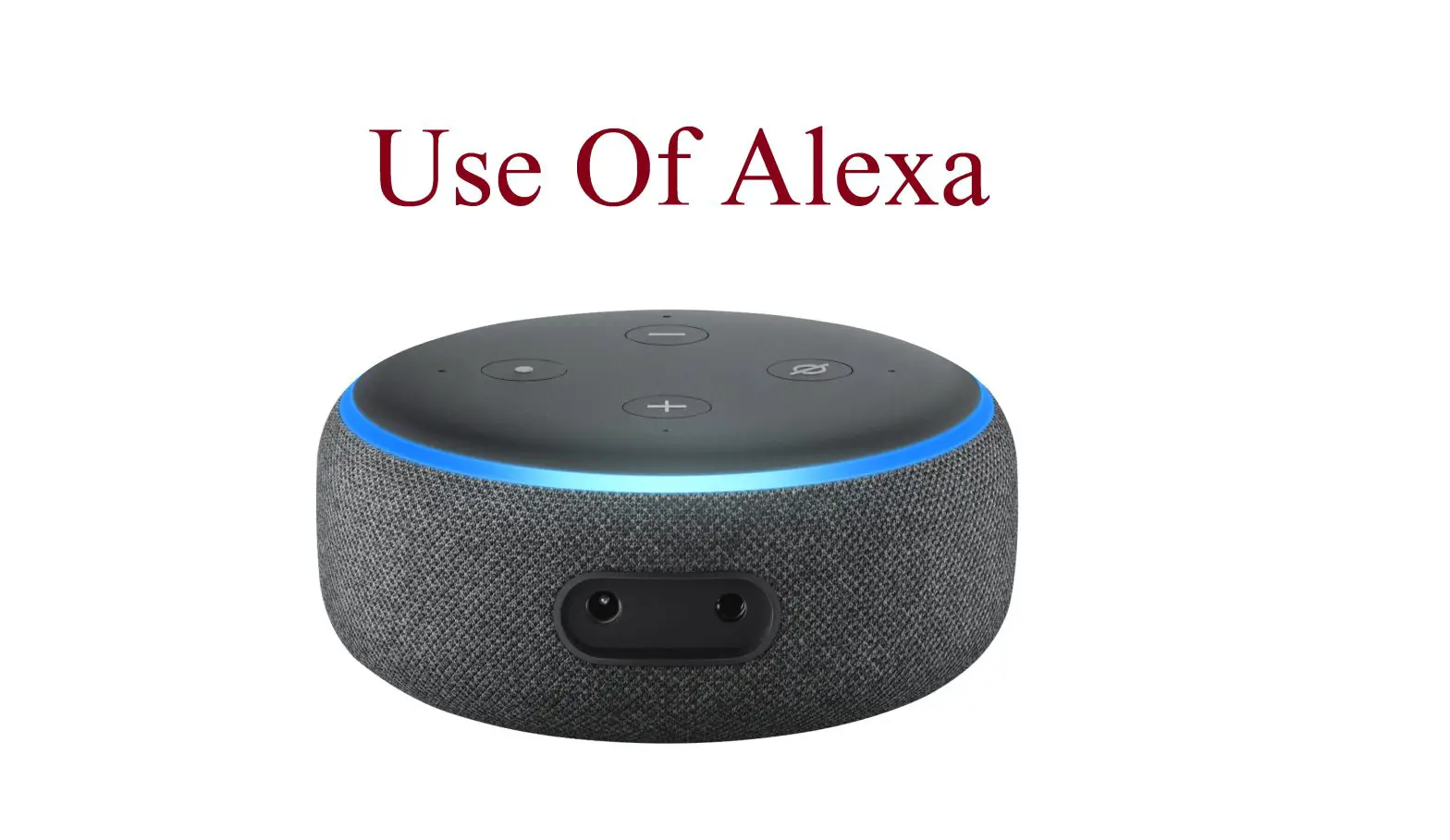 How Do I Use Alexa To Control Roborock? Instructions