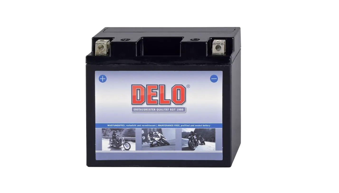 Delo Ytr4a-bs Micro-fleece Battery Instruction Manual Delo Ytr4a-bs Micro-fleece Battery Instruction Manual