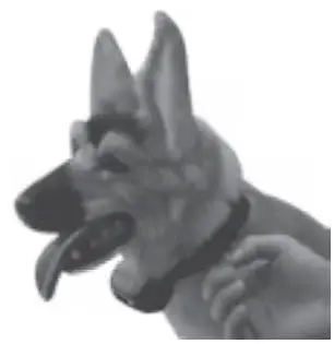 eXtreme WT776 Dog Fence Remote Dog Behavior Training Kit Instruction Manual - Adjust the belt collar