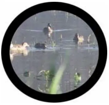 IPD (Interpupillary Distance) Adjustment