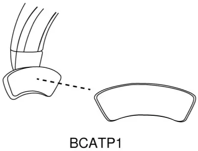 SHURE BRH440M BRH441M -Windscreen7