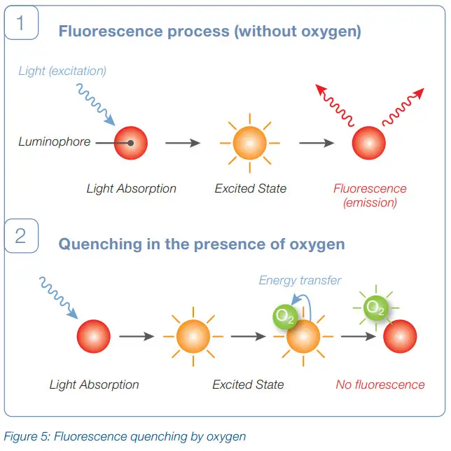 HAMILTON 10070760-1111 VisiFerm mA Sensors - Figure 5