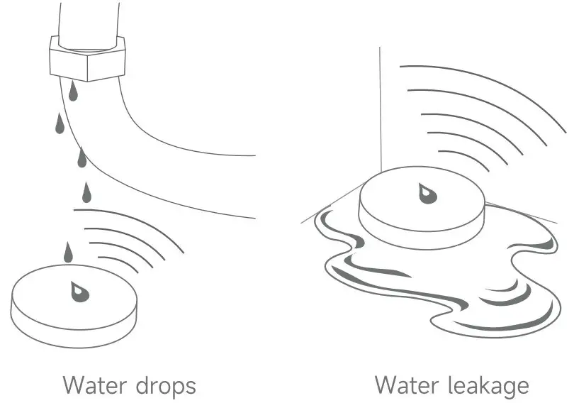 Product Descriptions