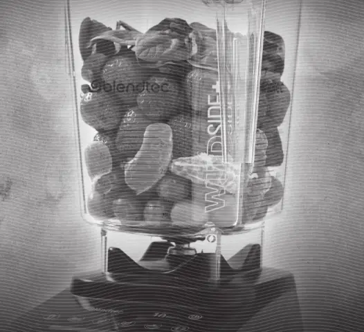 blendtec D625B3523B2B Blender - 1