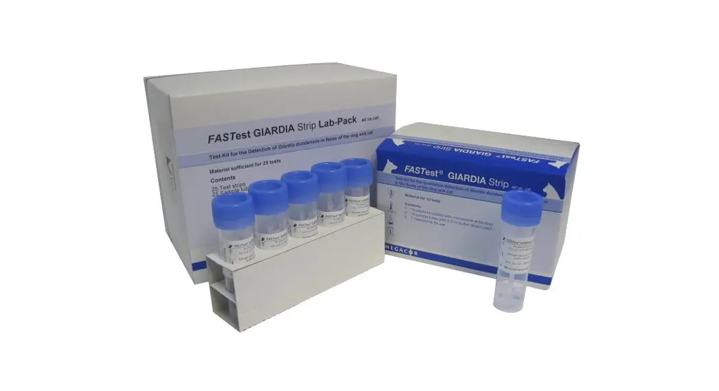 Megacor Diagnostik Lyme Rapid Test Box Instruction Manual