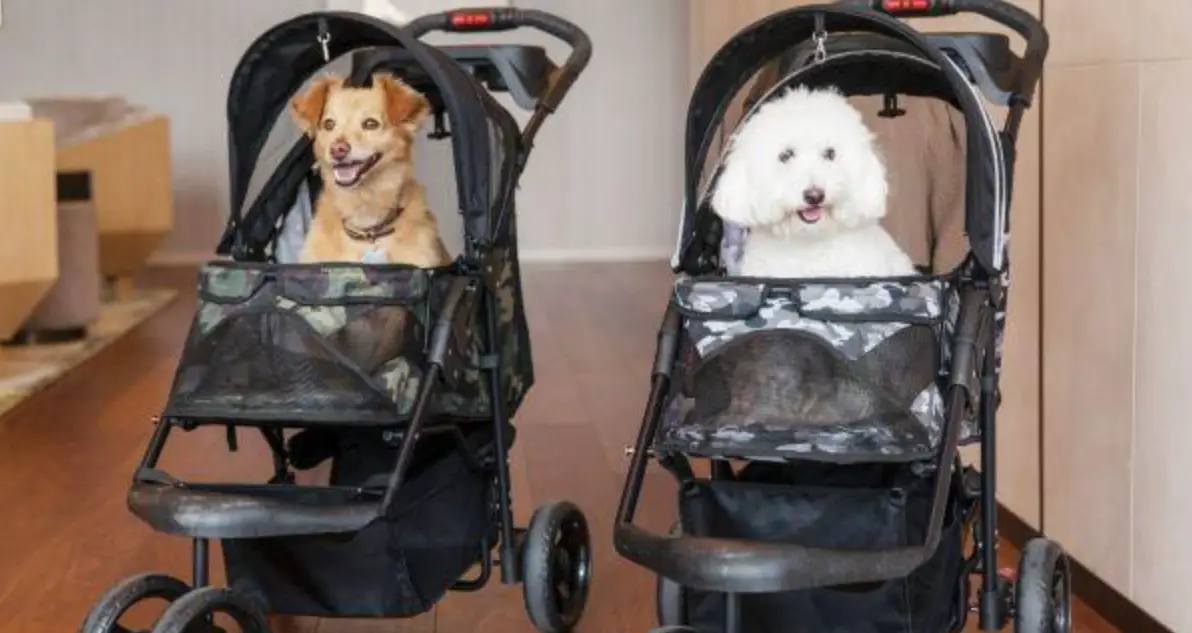 Petique Durable Pet Stroller Instructions