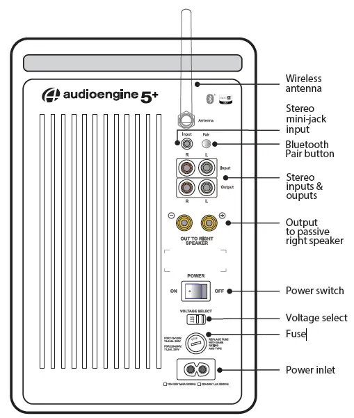 A5+ Wireless (left) speaker rear