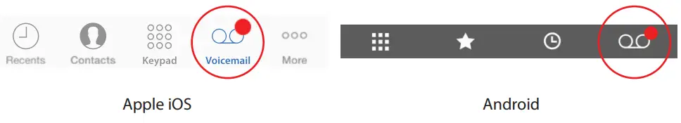 iridium Global Online Smart Phone Access - Voicemail