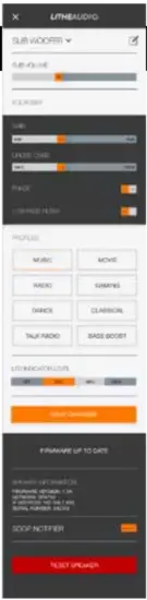 LITHEAUDIO 01675 Wireless Micro Subwoofer - fig10