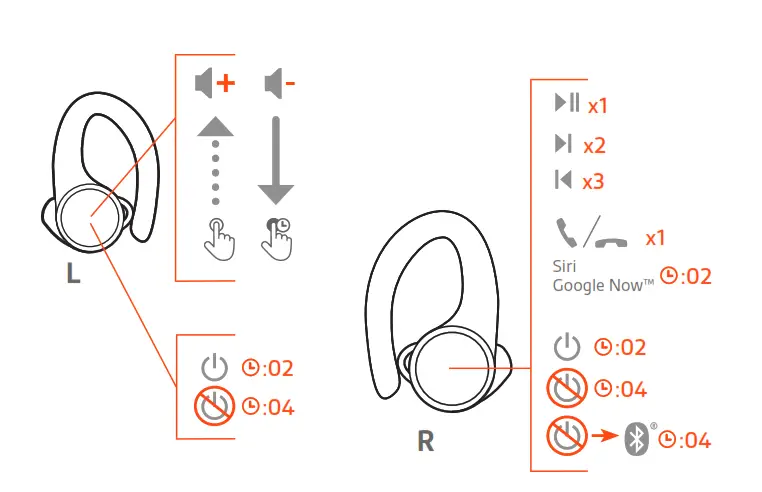 The Basics informations