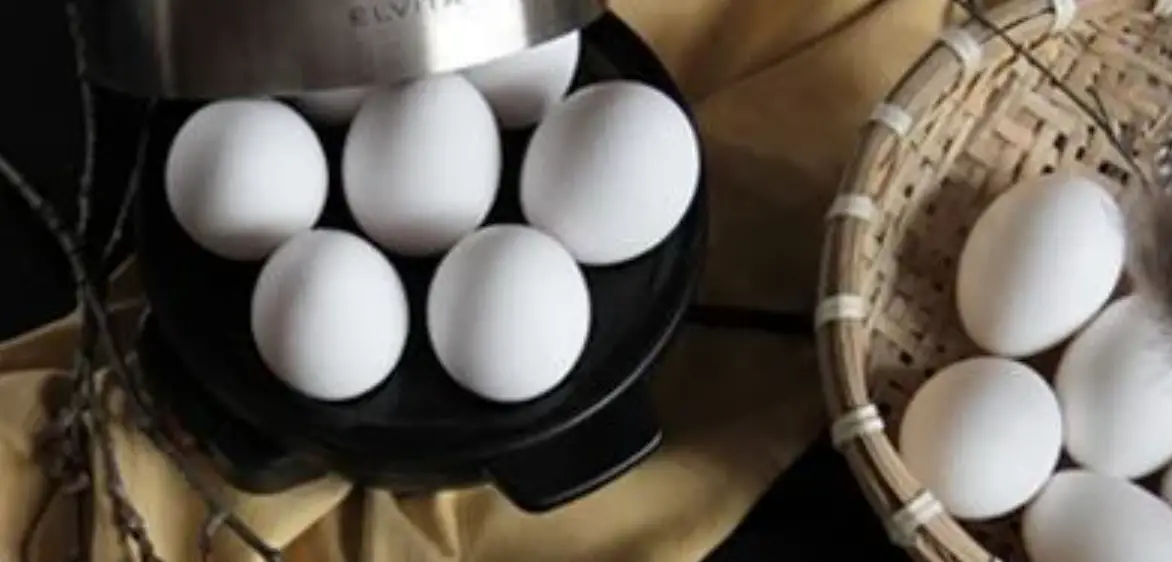 Elvita Cek1071x Egg Cooker User Manual