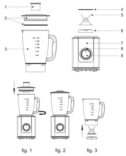 FIG 2 DESCRIPTION.JPG