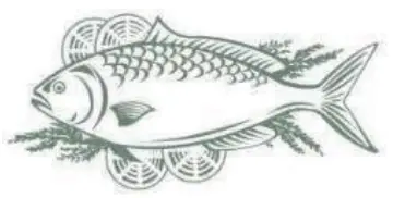 Moulinex MSTTR77WH Refrigerator - Fish