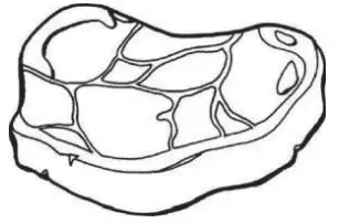 Moulinex MSTTR77WH Refrigerator - Red meat