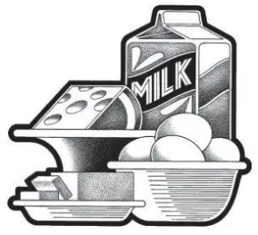 Moulinex MSTTR77WH Refrigerator - eggs