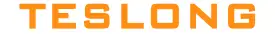 TESLONG Logo