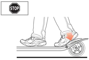 Assembly Instructions