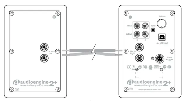 Connecting the speaker wire